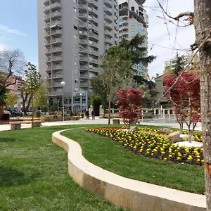 Mulaj **** Tirana